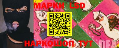 кокс Нальчик