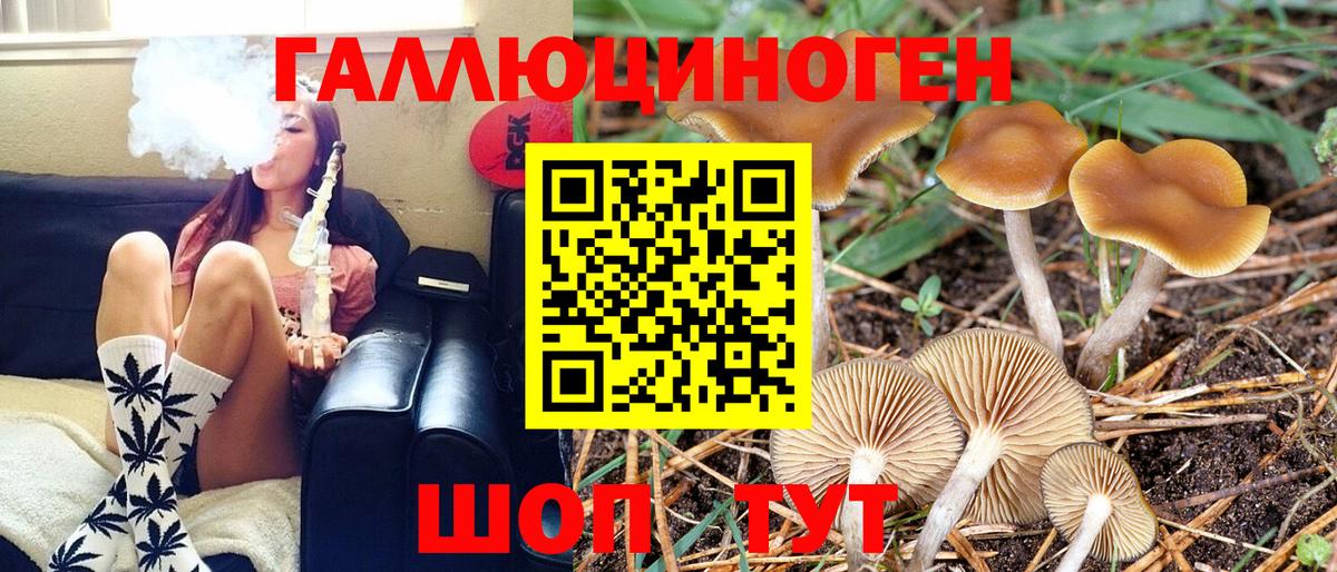 Ростов-на-Дону  Галлюциногенные грибы Cubensis  Вход с VPN  Псилоцибиновые грибы мухоморы 