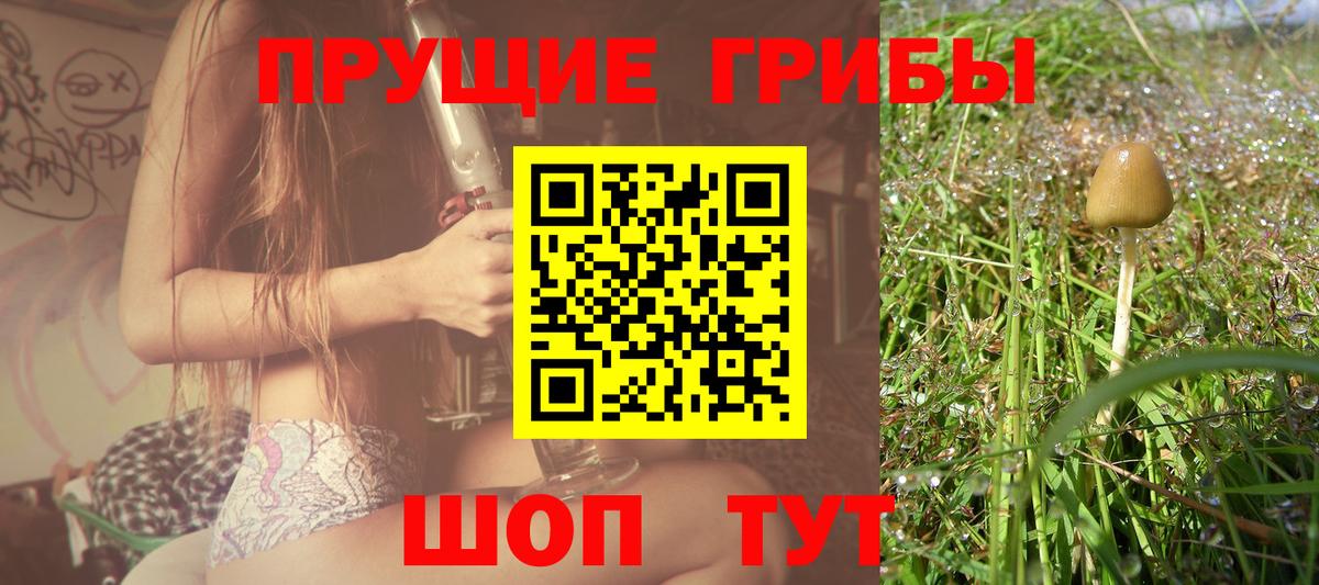 Псилоцибиновые грибы ЛСД Ростов-на-Дону